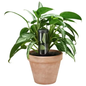 Expressversand Fiskars Wasserspender 350 ml (Verpackungseinheit 4 Stück)