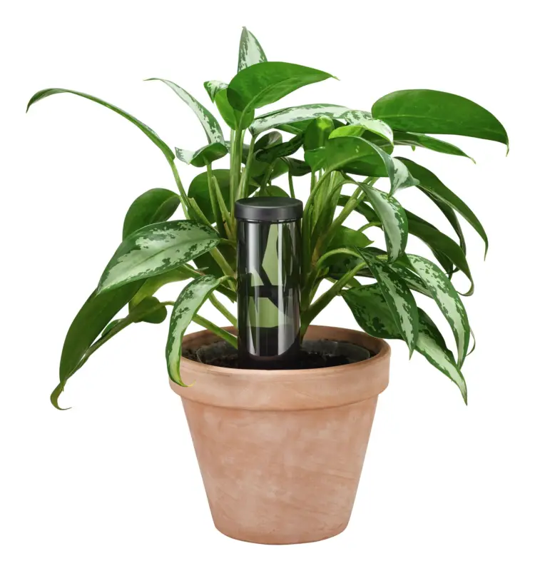 Expressversand Fiskars Wasserspender 350 ml (Verpackungseinheit 4 Stück)