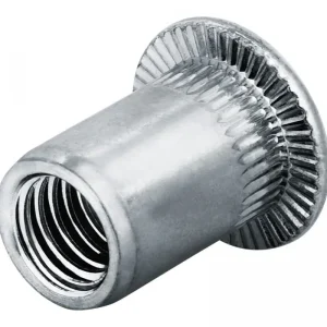Top-Seller Goebel Blindnietmutter Edelstahl Flachrundkopf M5 Klemmbereich 3 - 5,5 mm (Verpackungseinheit 250 Stück)