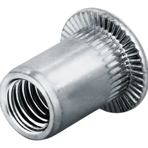 Goebel Blindnietmutter Stahl Flachrundkopf M8 Klemmbereich 0,5 - 3 mm (Verpackungseinheit 250 Stück) Schnäppchen