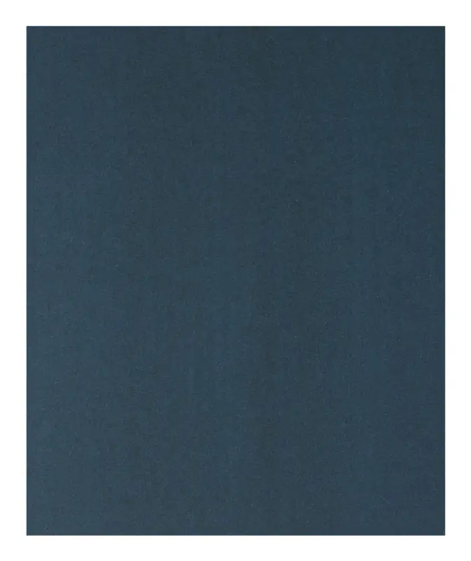 Zertifiziert Bosch Zubehör Handschleifpapier Metall, 230 x 280 mm, P240 - 1er Pack (Verpackungseinheit 50 Stück)