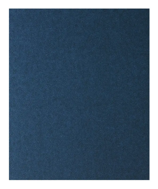 Bosch Zubehör Handschleifpapier Metall, 230 x 280 mm, P80 - 4er Pack (Verpackungseinheit 10 Stück) Begrenztes Angebot