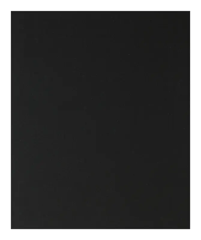 Bosch Zubehör Handschleifpapier SiC wasserfest, 230 x 280 mm, P400 - 1er Pack (Verpackungseinheit 50 Stück) Jetzt Bestellen