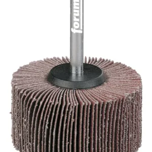 Forum Fächerschleifer 80 x 40 x 6 mm K120 Begrenztes Angebot