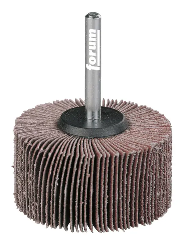 Forum Fächerschleifer 80 x 40 x 6 mm K120 Begrenztes Angebot