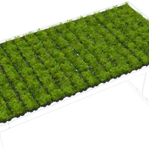 Kracherpreis WSM Überdachung Köln - Dachbegrünung GreenPlus Premium Köln K4