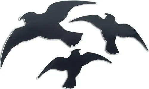 Abverkauf WINDHAGER Vogel-Silhouette Easy Sticker - 7116