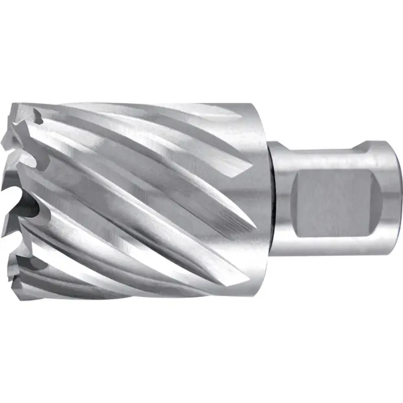 Billig RUKO Kernbohrer Weldon HSS 63 x 30 x Ø 42 mm - 108242