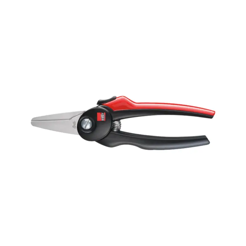 Letzte Chance Bessey Erdi Combi-Schere gerade - D47-2