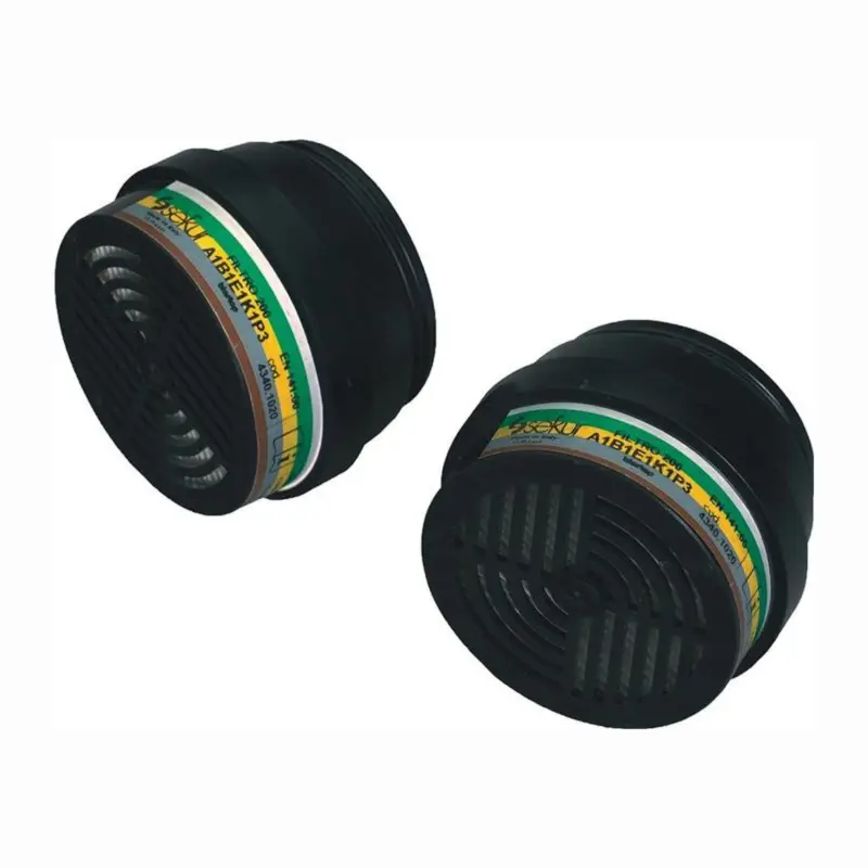 EKASTU Mehrbereichskombifilter 200 A1B1E1K1-P3R D - 422399 Sale