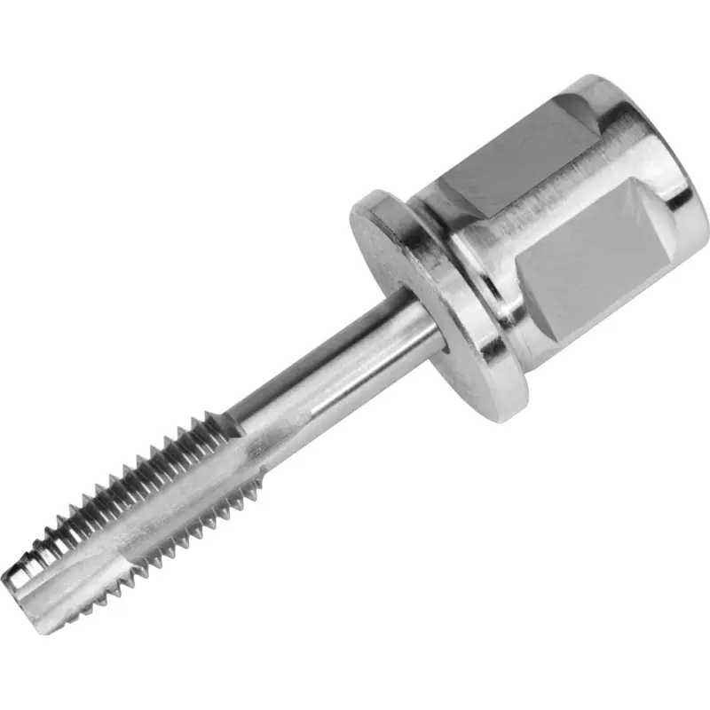 Beliebt Fein Gewindebohrer für Durchgangslöcher mit Adapter 3/4" Weldon-Aufnahme M 6 - 63110019030