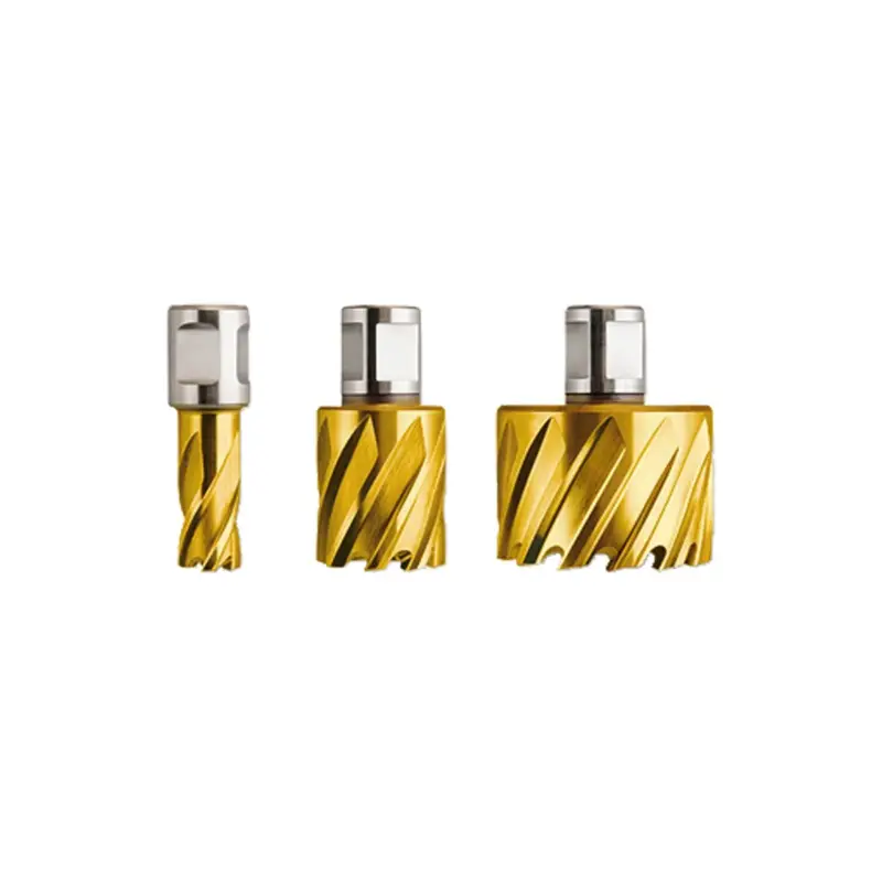 Fein 1x HSS Dura 50 Kernbohrer mit 3/4" Weldon-Aufnahme 50 mm Ø 48 mm - 63134480076 Begrenztes Angebot