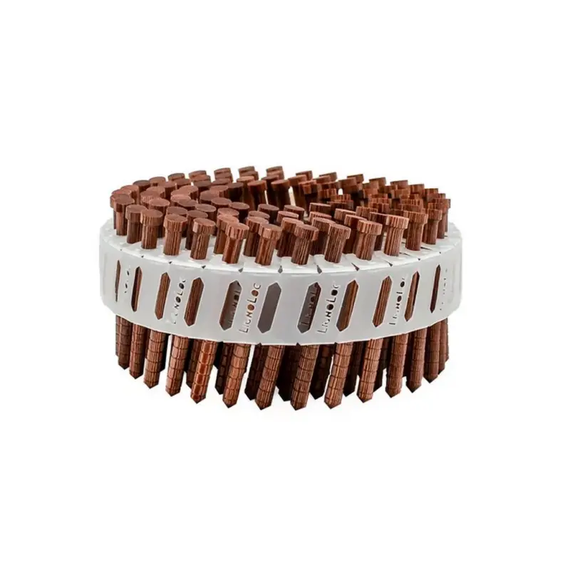 Kracherpreis Beck Holznägel Kopf LIGNOLOC im Plastikband 15° 4,7x58mm 1000 Stück CN47AGWO-H.6